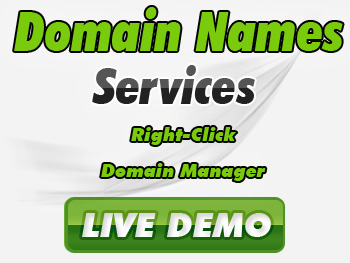 Cut-rate domain name service providers